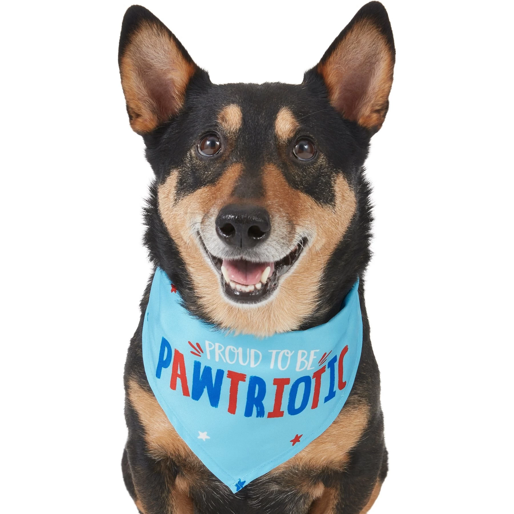 Frisco Pawtriot Dog & Cat Bandana 1 Frisco Pawtriot Dog & Cat Bandana