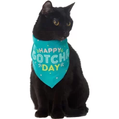 Frisco Happy Gotcha Day Dog & Cat Bandana -Frisco Shop 200538 PT2. AC SS1800 V1633057623