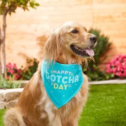 Frisco Happy Gotcha Day Dog & Cat Bandana -Frisco Shop 200538 PT3. AC SS1800 V1633086146