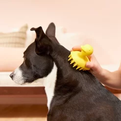 Frisco Rubber Duckie Dog & Cat Curry Brush -Frisco Shop 206849 PT4. AC SS1800 V1680186100