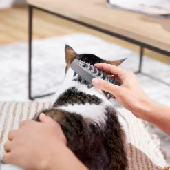 Frisco Cat Curry Brush -Frisco Shop 206853 PT6. AC SS1800 V1680186158