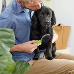 Frisco Cat & Dog Combo Brush, Mini -Frisco Shop 206857 PT4. AC SS1800 V1680186386