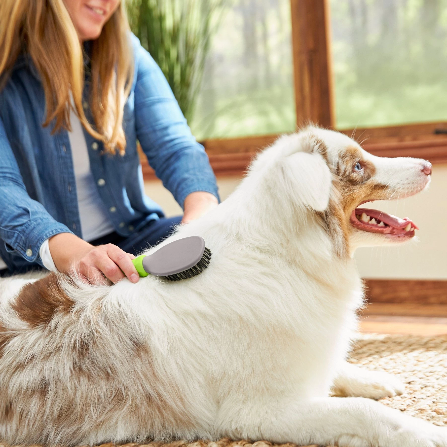 Frisco Cat & Dog Bristle Brush 3 Frisco Cat & Dog Bristle Brush - Image 3