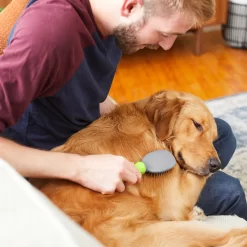 Frisco Cat & Dog Pin Brush 9 Frisco Cat & Dog Pin Brush -Frisco Shop 206861 PT6. AC SS1800 V1680186099