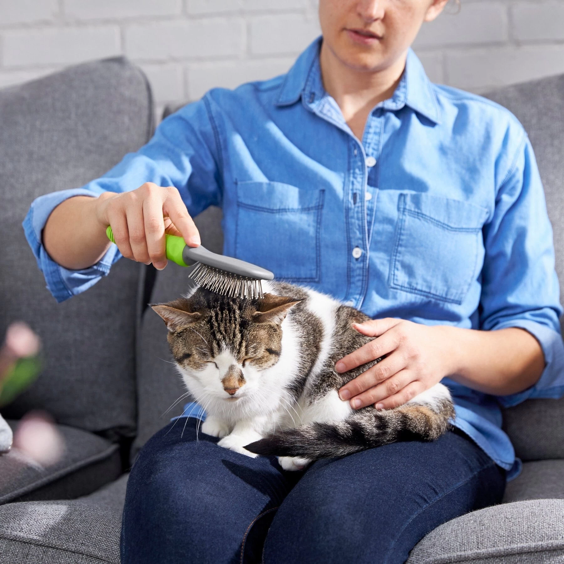 Frisco Cat & Dog Pin Brush 5 Frisco Cat & Dog Pin Brush - Image 5