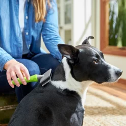 Frisco Soft Slicker Dog Brush, One Size -Frisco Shop 206869 PT4. AC SS1800 V1680186388