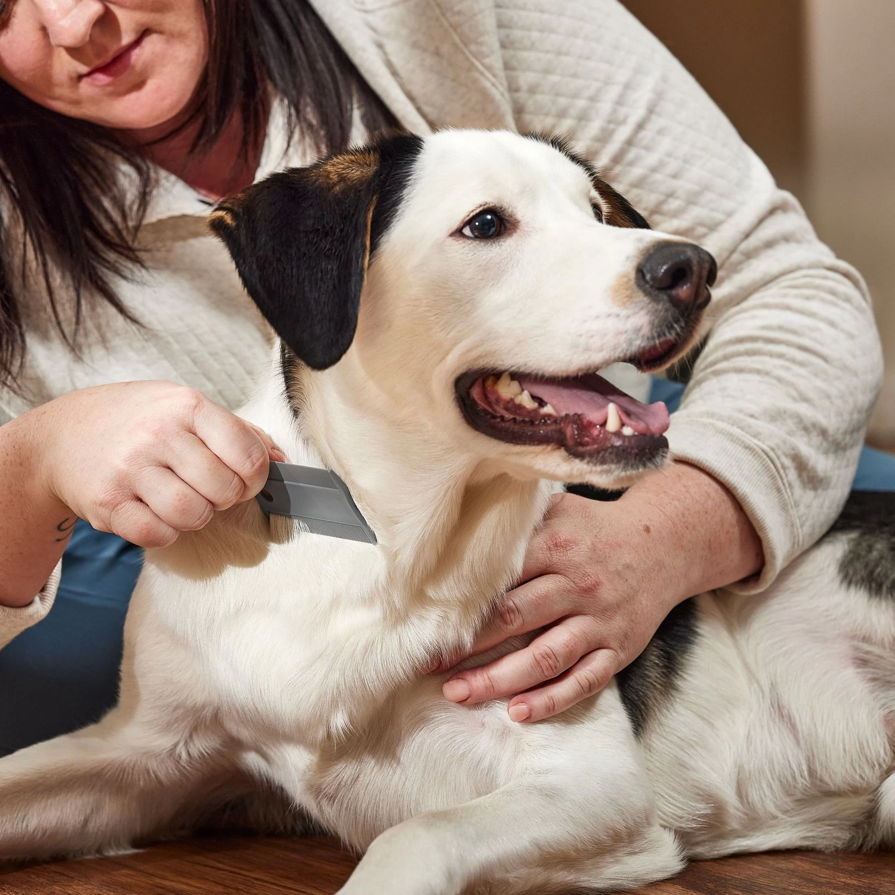 Frisco Flea Comb For Cats & Dogs 3 Frisco Flea Comb For Cats & Dogs - Image 3