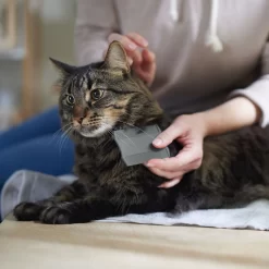 Frisco Flea Comb For Cats & Dogs 8 Frisco Flea Comb For Cats & Dogs -Frisco Shop 206888 PT4. AC SS1800 V1680186101