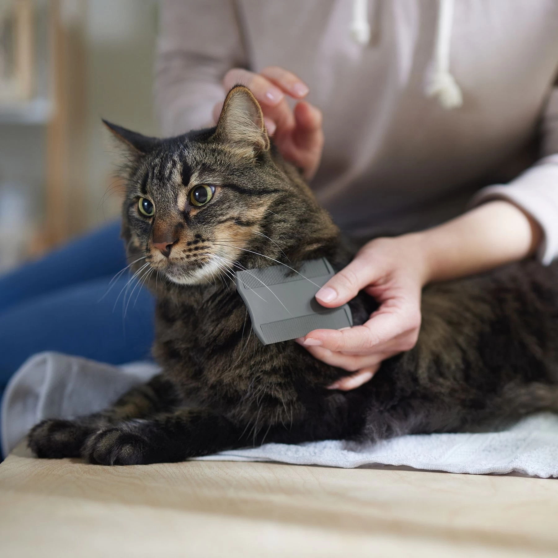 Frisco Flea Comb For Cats & Dogs 4 Frisco Flea Comb For Cats & Dogs - Image 4