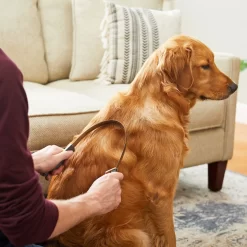 Frisco Shedding Blade Dog Brush, One Size -Frisco Shop 206895 PT6. AC SS1800 V1680186099