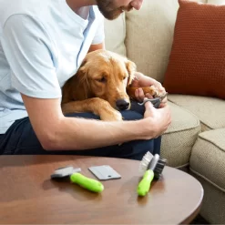 Frisco Beginner Grooming Kit For Dogs And Cats 16 Frisco Beginner Grooming Kit For Dogs And Cats -Frisco Shop 206909 PT7. AC SS1800 V1680186156