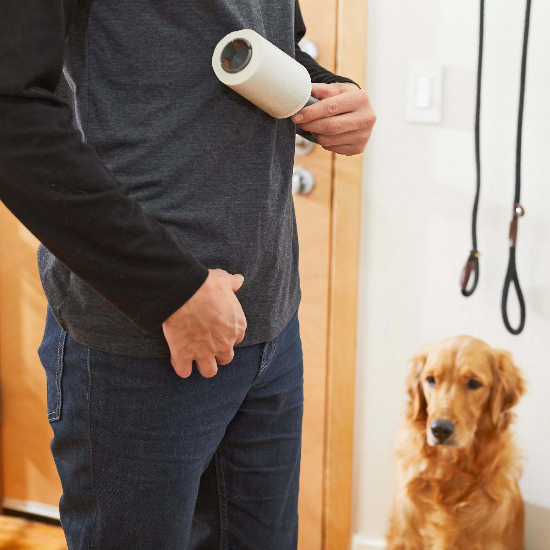 Frisco Dog & Cat Hair Lint Roller Refill 3 Frisco Dog & Cat Hair Lint Roller Refill - Image 3