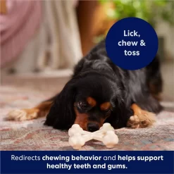 Frisco Chicken Flavor Tough Nylon Dog Chew Toy 10 Frisco Chicken Flavor Tough Nylon Dog Chew Toy -Frisco Shop 213432 PT5. AC SS1800 V1691784031