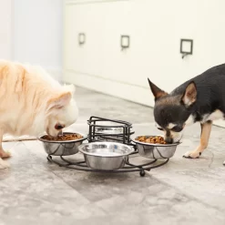 Frisco Multi Pet Feeding 4-Bowls Stainless Steel Dog & Cat Bowls, 0.5 Cup 14 Frisco Multi Pet Feeding 4-Bowls Stainless Steel Dog & Cat Bowls, 0.5 Cup -Frisco Shop 213787 PT7. AC SS1800 V1599090064