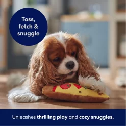 Frisco Pizza Slice Plush Squeaky Dog Toy 10 Frisco Pizza Slice Plush Squeaky Dog Toy -Frisco Shop 213818 PT4. AC SS1800 V1695748409