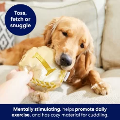 Frisco Gold Medal Round Plush Squeaky Dog Toy -Frisco Shop 214082 PT6. AC SS1800 V1679069984