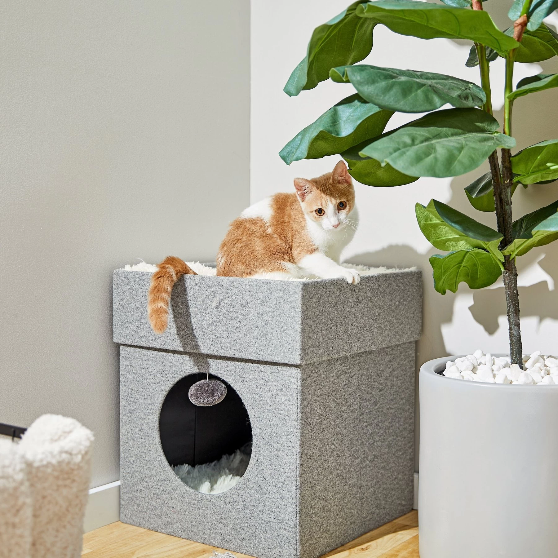 Frisco Single Cube Stackable And Collapsible Cat Condo 1 Frisco Single Cube Stackable And Collapsible Cat Condo