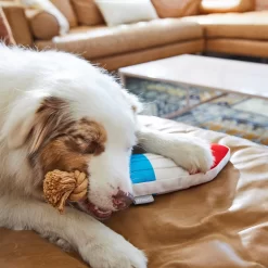 Frisco Summer Fun Plush & Rope Popsicle Dog Toy -Frisco Shop 214703 PT6. AC SS1800 V1597596505