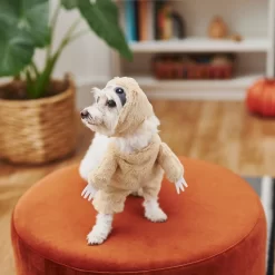 Frisco Front Walking Sloth Dog & Cat Costume -Frisco Shop 215539 PT8. AC SS1800 V1599141353