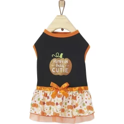 Frisco Pumpkin Patch Cutie Dog & Cat Dress