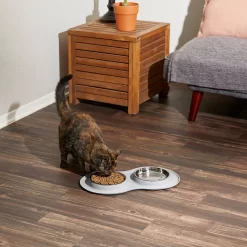 Frisco Double Stainless Steel Pet Bowl With Silicone Mat -Frisco Shop 215986 PT6. AC SS1800 V1605657710