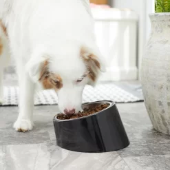 Frisco Stainless Steel Bowl With Elevated Stand -Frisco Shop 216020 PT7. AC SS1800 V1605662208