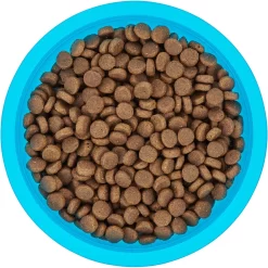 Frisco Plastic Suction Bowl, Blue -Frisco Shop 216037 PT4. AC SS1800 V1591020655