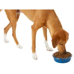 Frisco Chevron Design Glass Bowl With Silicone Sleeve 11 Frisco Chevron Design Glass Bowl With Silicone Sleeve -Frisco Shop 216049 PT6. AC SS1800 V1605654757