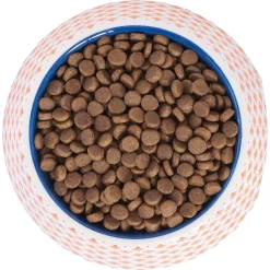 Frisco Southwest Melamine Bowl -Frisco Shop 216064 PT4. AC SS1800 V1591021009