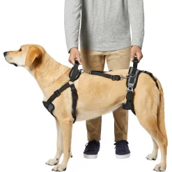Frisco Front & Rear Lift Handicapped Support Dog Harness 9 Frisco Front & Rear Lift Handicapped Support Dog Harness -Frisco Shop 220372 PT5. AC SS1800 V1605749597