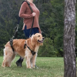 Frisco Front & Rear Lift Handicapped Support Dog Harness 11 Frisco Front & Rear Lift Handicapped Support Dog Harness -Frisco Shop 220372 PT7. AC SS1800 V1605738439