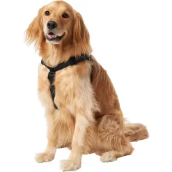 Frisco Nylon Step In Back Clip Dog Harness -Frisco Shop 220519 PT2. AC SS1800 V1605591714