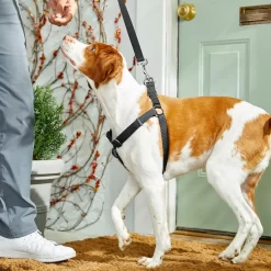 Frisco Nylon Step In Back Clip Dog Harness -Frisco Shop 220519 PT4. AC SS1800 V1605582116