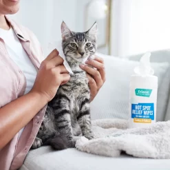 Frisco Hot Spot Relief Wipes -Frisco Shop 222163 PT2. AC SS1800 V1602831392