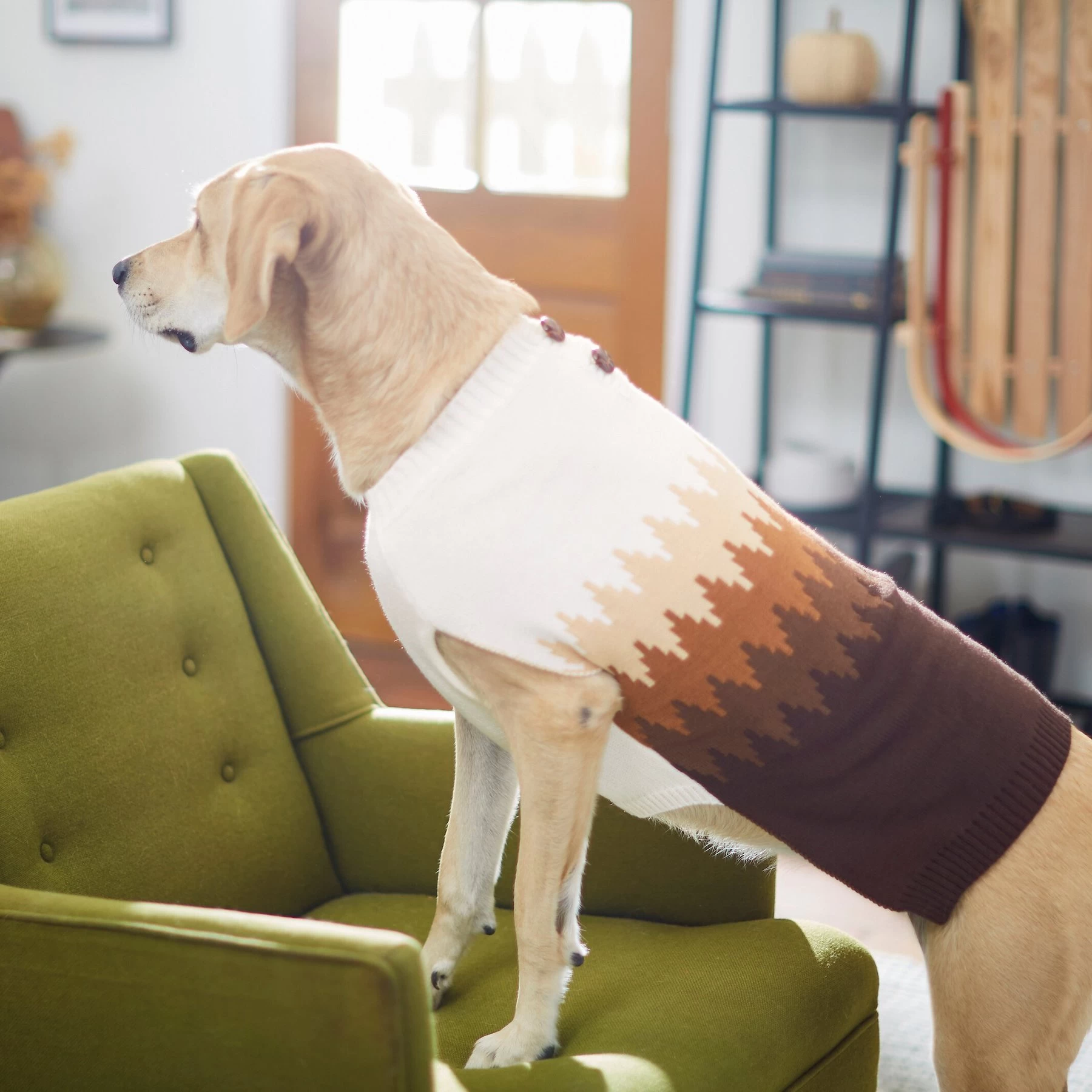 Frisco Gradient Diamond Dog & Cat Sweater 5 Frisco Gradient Diamond Dog & Cat Sweater - Image 5