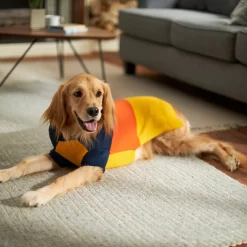 Frisco Colorblock Dog & Cat Turtleneck Sweater With Sleeves -Frisco Shop 223819 PT7. AC SS1800 V1599922008