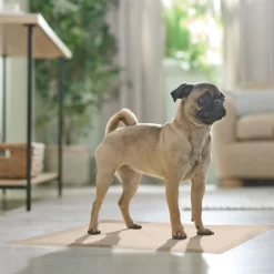 Frisco Large Eco-Conscious Dog Training & Potty Pads -Frisco Shop 227438 PT6. AC SS1800 V1674665619