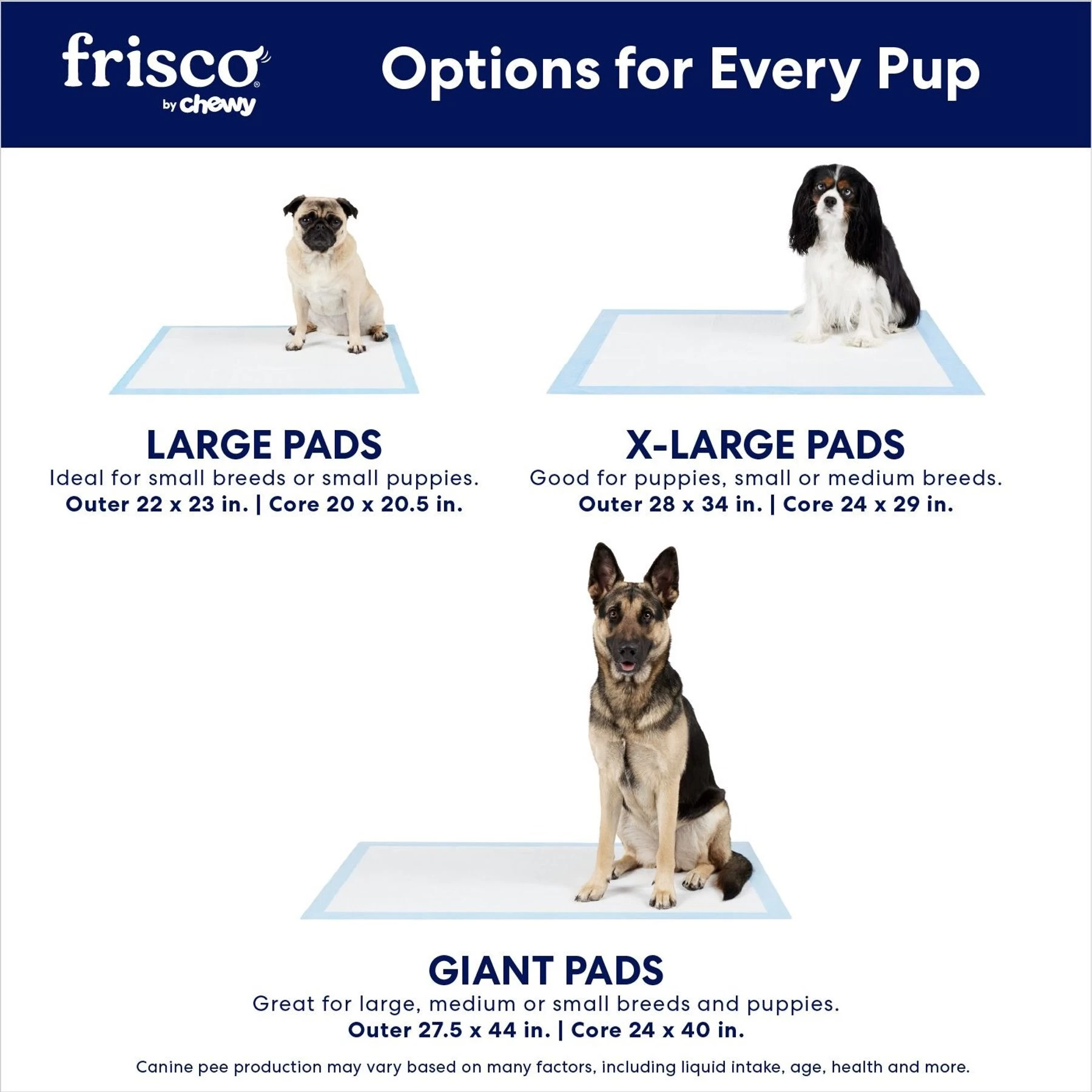 Frisco Extra Large Charcoal Dog Training & Potty Pads 4 Frisco Extra Large Charcoal Dog Training & Potty Pads - Image 4