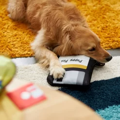 Frisco Retro Floppy Disc Ballistic Nylon Plush Squeaky Dog Toy -Frisco Shop 230304 PT3. AC SS1800 V1602639753