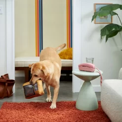 Frisco Retro Television Ballistic Nylon Plush Squeaky Dog Toy -Frisco Shop 230308 PT3. AC SS1800 V1601947325