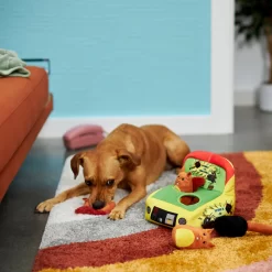 Frisco Retro Smack-a-Squirrel Hide & Seek Puzzle Plush Squeaky Dog Toy -Frisco Shop 230313 PT3. AC SS1800 V1601947334