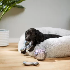 Frisco Retro Plush Squeaky Disco Dog Toy -Frisco Shop 230349 PT3. AC SS1800 V1600973789