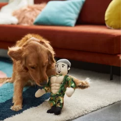 Frisco Retro Camo Hero Muscle Plush Squeaky Dog Toy -Frisco Shop 230375 PT3. AC SS1800 V1602639726