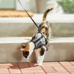 Frisco Wrap Cat Harness -Frisco Shop 230691 PT5. AC SS1800 V1601096758