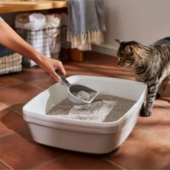 Frisco Lightweight Scented Clumping Cat Litter -Frisco Shop 230718 PT4. AC SS1800 V1659023572