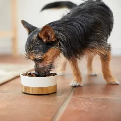 Frisco Melamine Dog & Cat Bowl With Bamboo Base -Frisco Shop 232065 PT7. AC SS1800 V1692989518