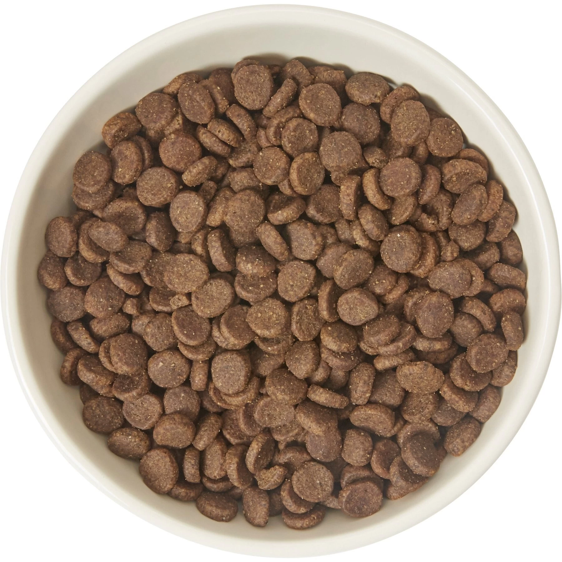 Frisco Double-Sided Ceramic Elevated Cat Bowl 4 Frisco Double-Sided Ceramic Elevated Cat Bowl - Image 4