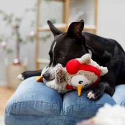 Frisco Holiday Owl Plush Squeaky Dog Toy -Frisco Shop 233160 PT2. AC SS1800 V1601304724