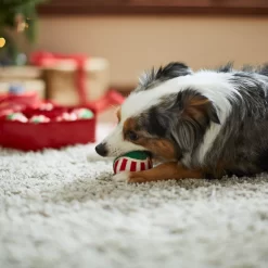 Frisco Holiday Wreath Fetch Squeaky Tennis Ball Dog Toy -Frisco Shop 233189 PT3. AC SS1800 V1665759769