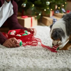 Frisco Holiday Wreath Fetch Squeaky Tennis Ball Dog Toy -Frisco Shop 233189 PT5. AC SS1800 V1601919657